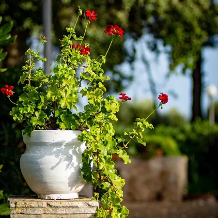 Antica Casina Di Charme 4* פולסנו