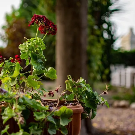 Antica Casina Di Charme Bed & Breakfast *