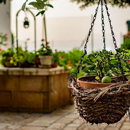 Antica Casina Di Charme Bed & Breakfast Pulsano