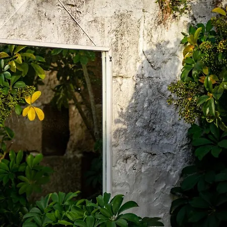Antica Casina Di Charme 4* Pulsano